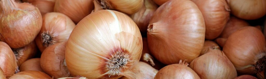 Moisture Protection Keeps Onions Dry, Mold-Free During Cross-Country Trek