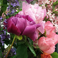 To dry flowers, make sure the petals are free from liquid water or condensation.