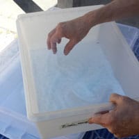 Using a new air-tight container, cover bottom with a layer of flower dry silica gel.