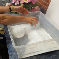 Using flower dry silica gel, place a layer in the bottom of an air-tight container.