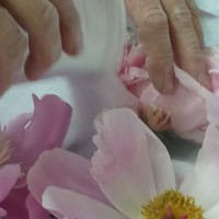 Placing flower dry silica gel in between the petals, will help preserve the shape of the flower when drying.