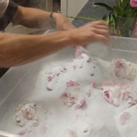 Pour flower dry silica gel until all the flowers are covered.