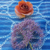 Remove each dry flower and gently shake out the silica gel crystals.