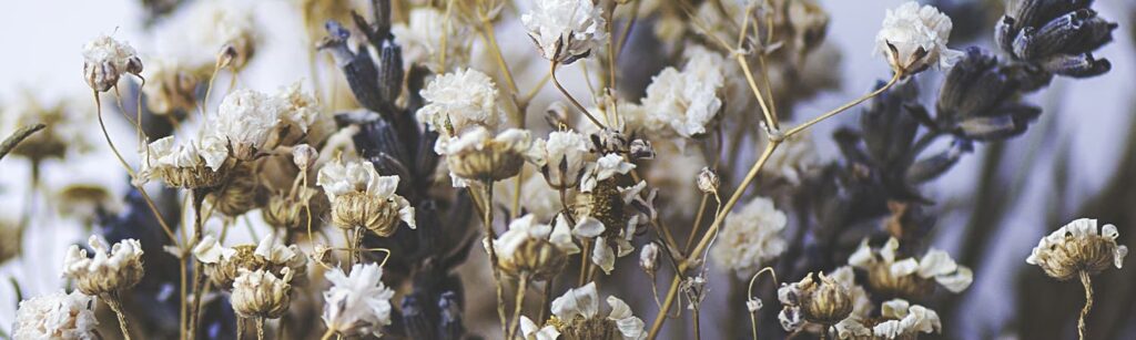 Dry Flowers Using Silica Gel - AGM Containers Controls